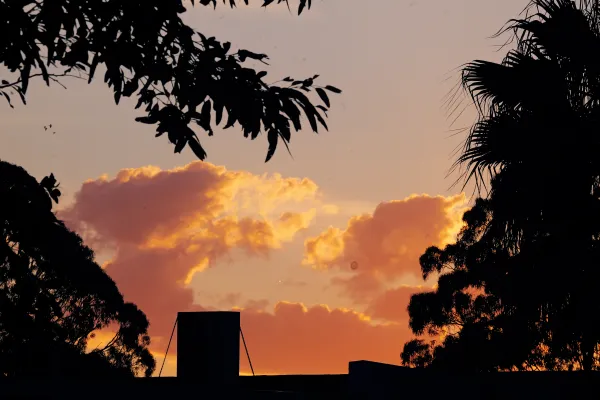 Suburban Sky