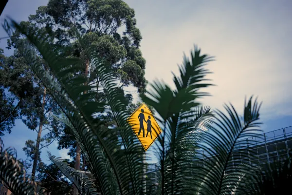 Pedestrian Frond