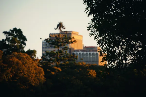 Heritage in the Trees