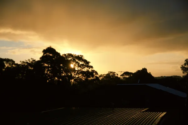 Bushfire Sunset