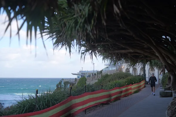 Pandanus Path