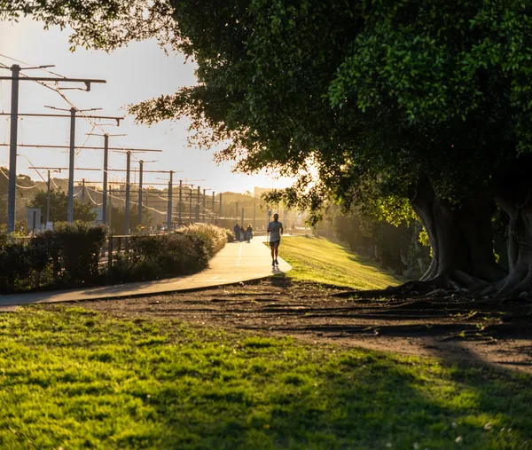 Path Under the Trees